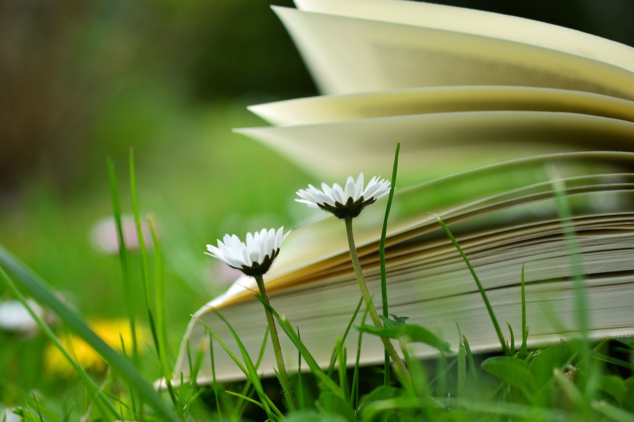 a-book-2304388_1280