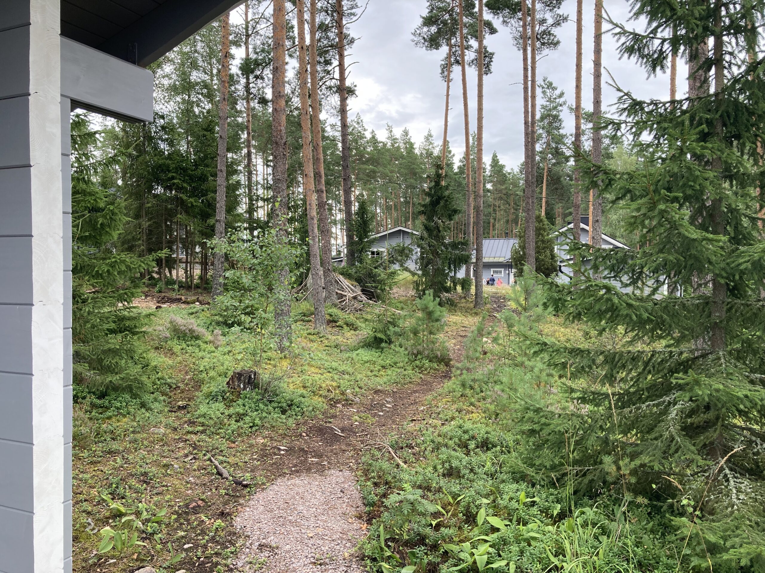 Image (2)